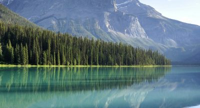 Anxiety Therapy in Fort Lauderdale: Signs You May Need Professional Help